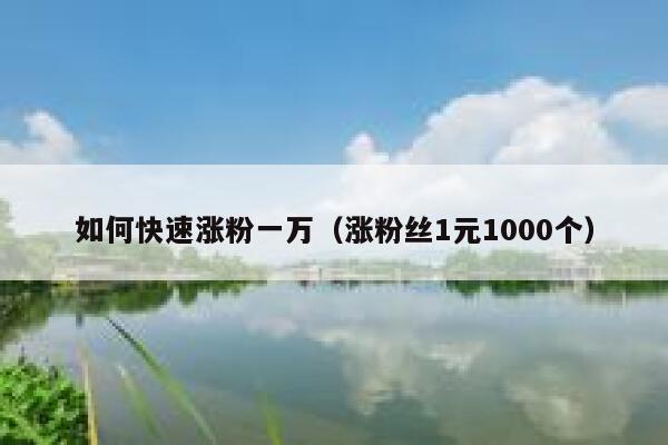 如何快速涨粉一万（涨粉丝1元1000个） 第1张