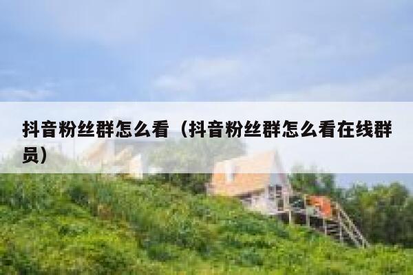 抖音粉丝群怎么看（抖音粉丝群怎么看在线群员） 第1张