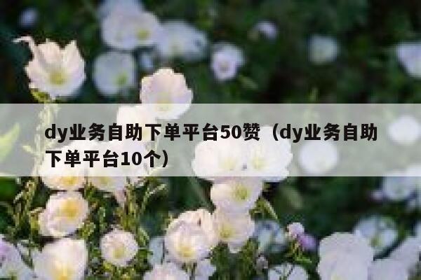dy业务自助下单平台50赞（dy业务自助下单平台10个） 第1张