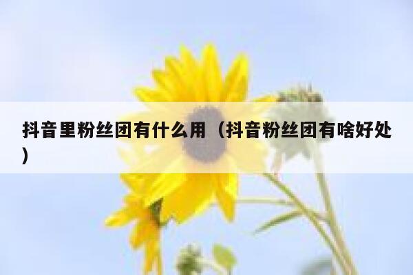 抖音里粉丝团有什么用（抖音粉丝团有啥好处） 第1张