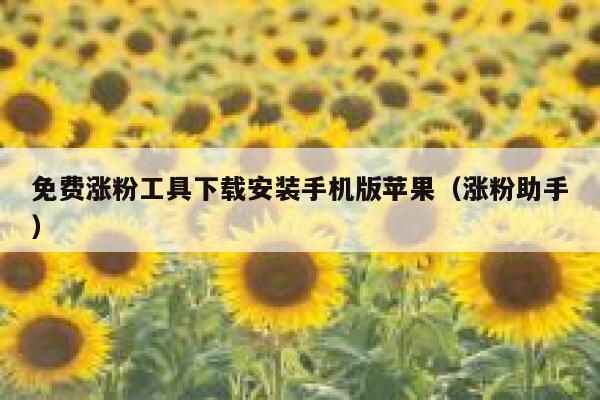 免费涨粉工具下载安装手机版苹果（涨粉助手） 第1张