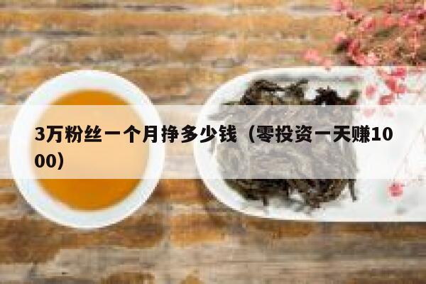 3万粉丝一个月挣多少钱（零投资一天赚1000） 第1张