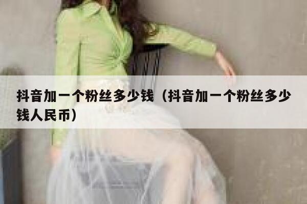 抖音加一个粉丝多少钱（抖音加一个粉丝多少钱人民币） 第1张