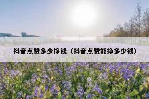 抖音点赞多少挣钱（抖音点赞能挣多少钱） 第1张