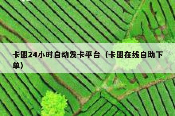 卡盟24小时自动发卡平台（卡盟在线自助下单） 第1张