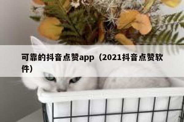 可靠的抖音点赞app（2021抖音点赞软件） 第1张