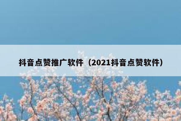 抖音点赞推广软件（2021抖音点赞软件） 第1张