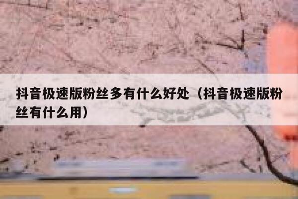 抖音极速版粉丝多有什么好处（抖音极速版粉丝有什么用） 第1张