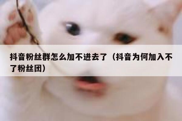 抖音粉丝群怎么加不进去了（抖音为何加入不了粉丝团） 第1张