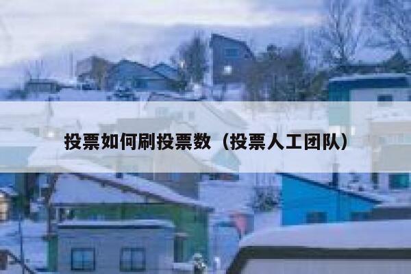 投票如何刷投票数（投票人工团队） 第1张