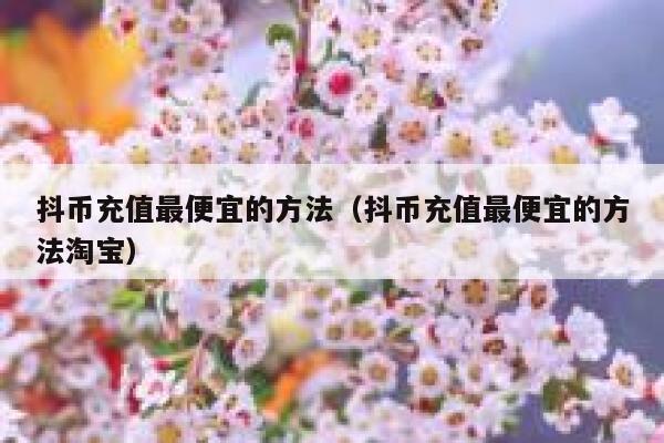 抖币充值最便宜的方法（抖币充值最便宜的方法淘宝） 第1张