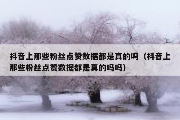 抖音上那些粉丝点赞数据都是真的吗（抖音上那些粉丝点赞数据都是真的吗吗） 第1张