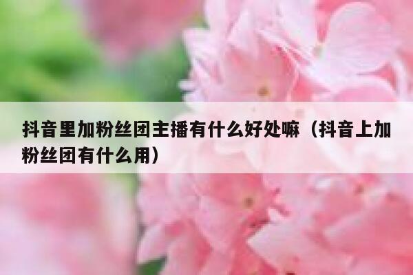 抖音里加粉丝团主播有什么好处嘛(抖音上加粉丝团有什么用) 第1张 抖音里加粉丝团主播有什么好处嘛(抖音上加粉丝团有什么用) 第1张