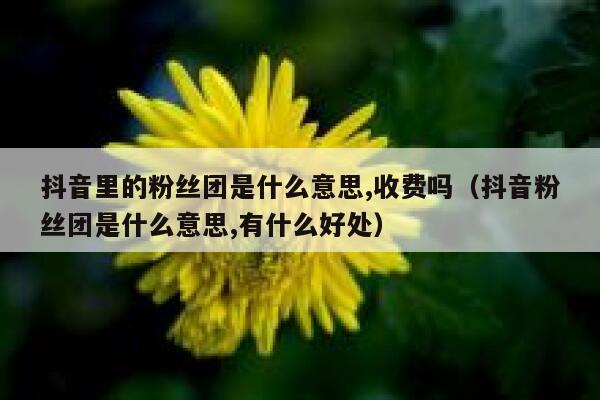 抖音里的粉丝团是什么意思,收费吗(抖音粉丝团是什么意思,有什么好处) 第1张 抖音里的粉丝团是什么意思,收费吗(抖音粉丝团是什么意思,有什么好处) 第1张