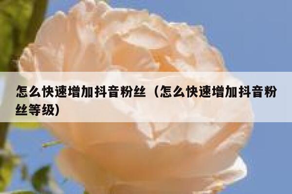 怎么快速增加抖音粉丝（怎么快速增加抖音粉丝等级） 第1张