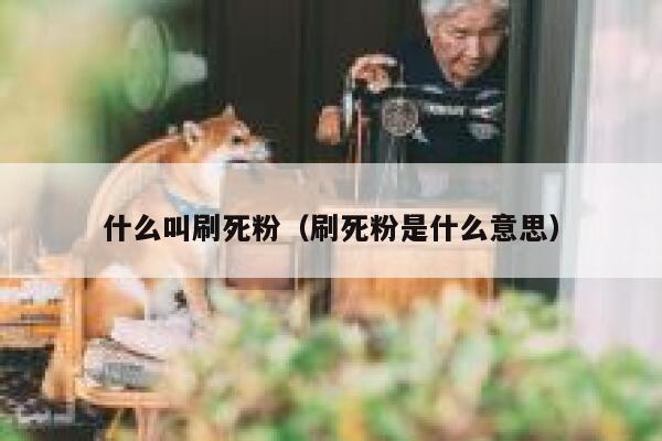 什么叫刷死粉（刷死粉是什么意思） 第1张