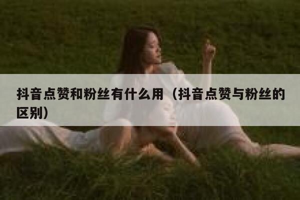 抖音点赞和粉丝有什么用（抖音点赞与粉丝的区别） 第1张