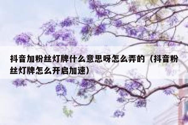 抖音加粉丝灯牌什么意思呀怎么弄的（抖音粉丝灯牌怎么开启加速） 第1张