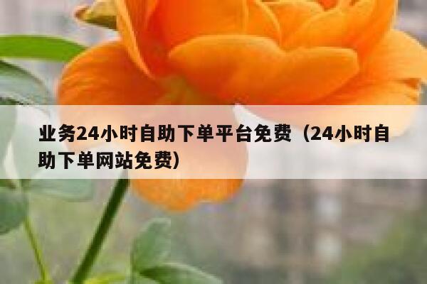 业务24小时自助下单平台免费（24小时自助下单网站免费） 第1张