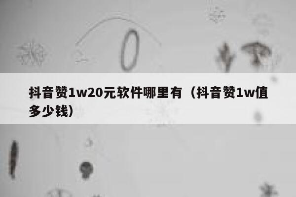 抖音赞1w20元软件哪里有（抖音赞1w值多少钱） 第1张