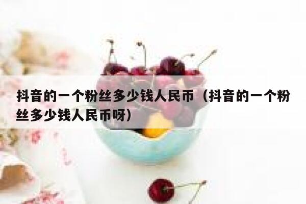 抖音的一个粉丝多少钱人民币（抖音的一个粉丝多少钱人民币呀） 第1张