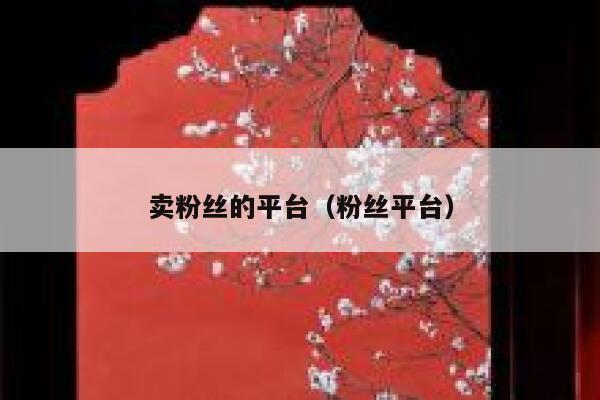 卖粉丝的平台（粉丝平台） 第1张
