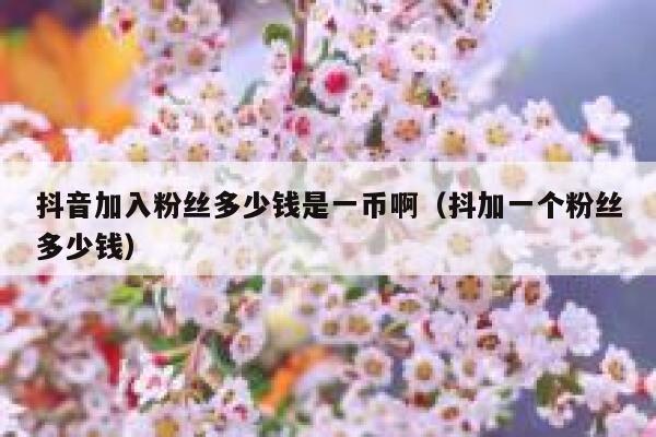 抖音加入粉丝多少钱是一币啊（抖加一个粉丝多少钱） 第1张