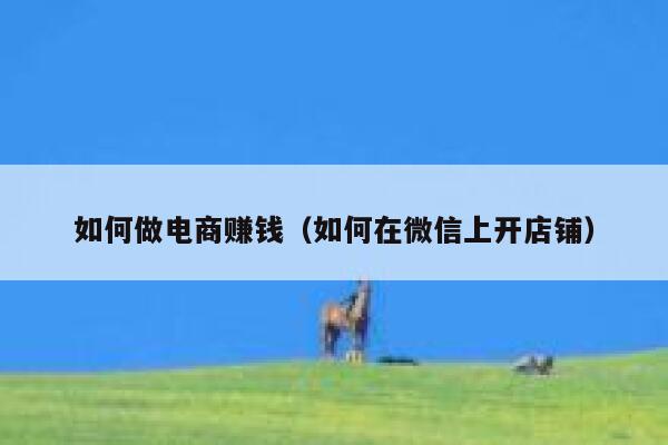 如何做电商赚钱（如何在微信上开店铺） 第1张