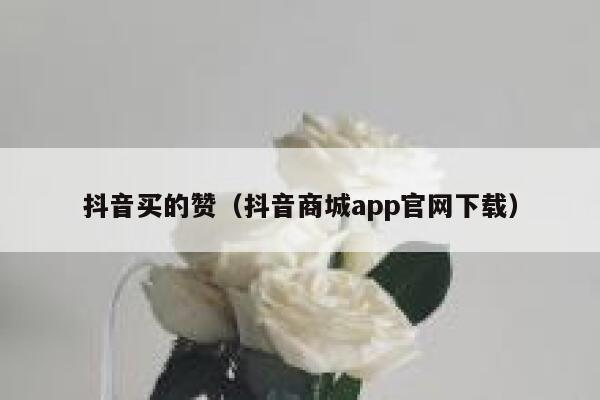 抖音买的赞（抖音商城app官网下载） 第1张