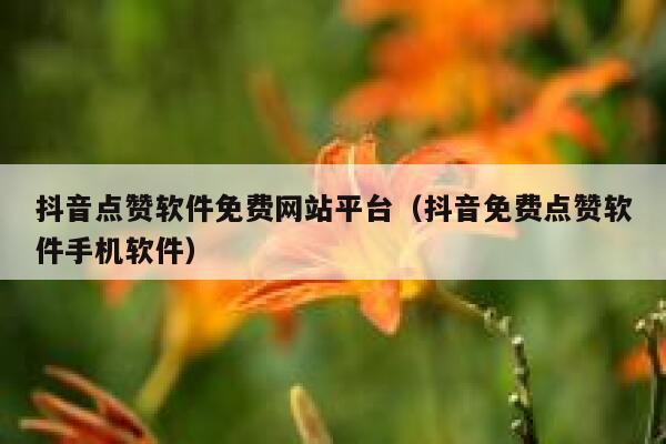 抖音点赞软件免费网站平台（抖音免费点赞软件手机软件） 第1张