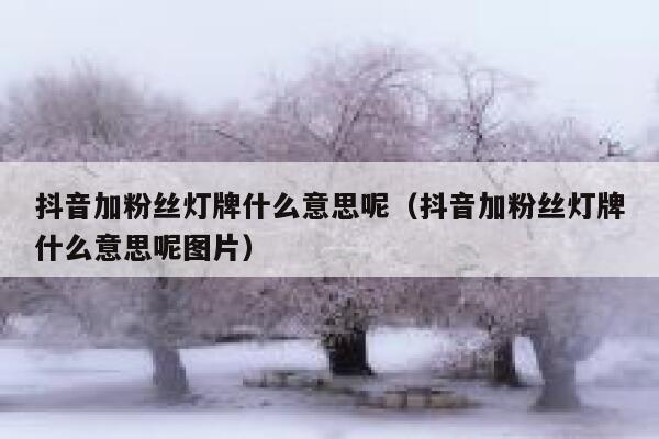 抖音加粉丝灯牌什么意思呢（抖音加粉丝灯牌什么意思呢图片） 第1张