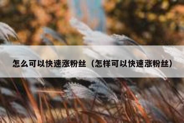 怎么可以快速涨粉丝（怎样可以快速涨粉丝） 第1张