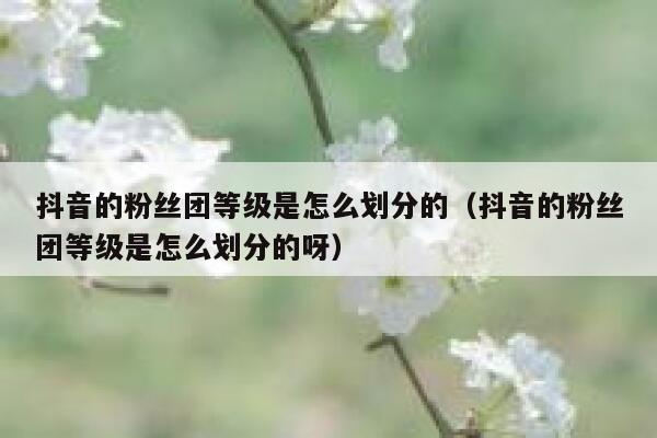 抖音的粉丝团等级是怎么划分的（抖音的粉丝团等级是怎么划分的呀） 第1张