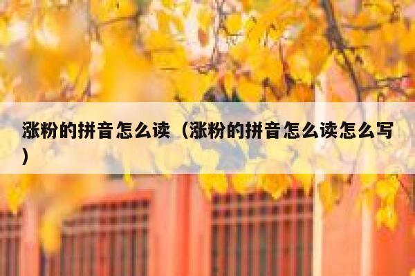 涨粉的拼音怎么读（涨粉的拼音怎么读怎么写） 第1张