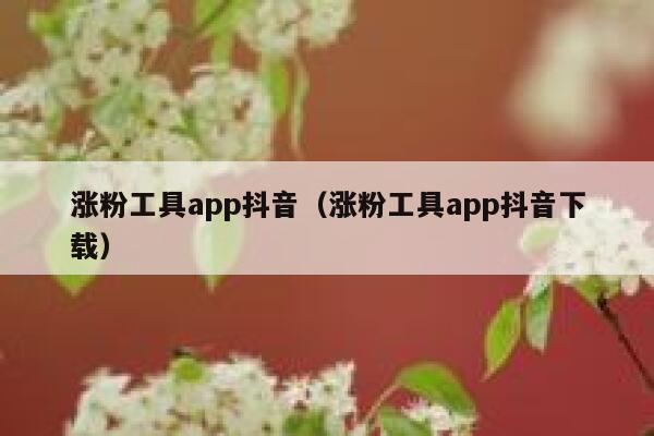涨粉工具app抖音（涨粉工具app抖音下载） 第1张