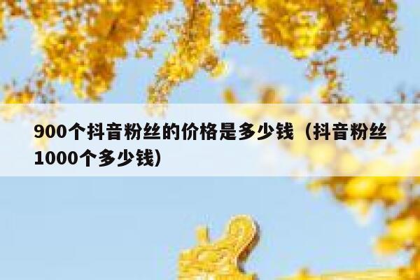 900个抖音粉丝的价格是多少钱（抖音粉丝1000个多少钱） 第1张