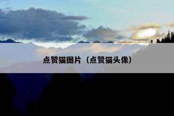 点赞猫图片(点赞猫头像) 第1张 点赞猫图片(点赞猫头像) 第1张