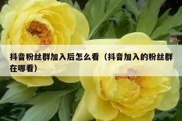 抖音粉丝群加入后怎么看（抖音加入的粉丝群在哪看） 第1张