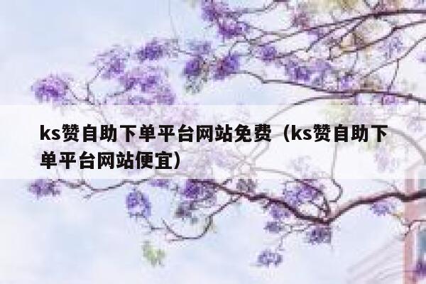 ks赞自助下单平台网站免费（ks赞自助下单平台网站便宜） 第1张