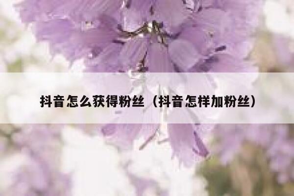 抖音怎么获得粉丝（抖音怎样加粉丝） 第1张