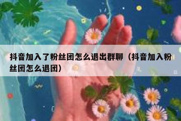 抖音加入了粉丝团怎么退出群聊（抖音加入粉丝团怎么退团） 第1张