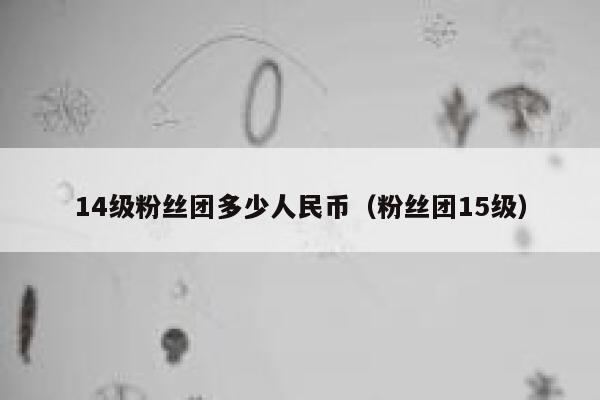 14级粉丝团多少人民币(粉丝团15级) 第1张 14级粉丝团多少人民币(粉丝团15级) 第1张