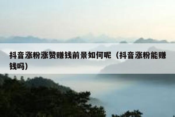 抖音涨粉涨赞赚钱前景如何呢（抖音涨粉能赚钱吗） 第1张