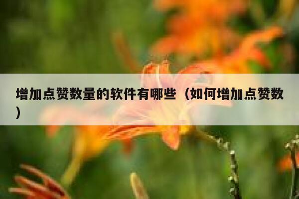 增加点赞数量的软件有哪些（如何增加点赞数） 第1张