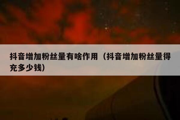 抖音增加粉丝量有啥作用(抖音增加粉丝量得充多少钱) 第1张 抖音增加粉丝量有啥作用(抖音增加粉丝量得充多少钱) 第1张