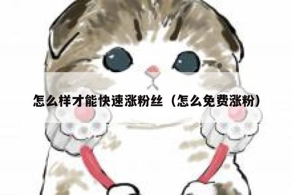 怎么样才能快速涨粉丝(怎么免费涨粉) 第1张 怎么样才能快速涨粉丝(怎么免费涨粉) 第1张