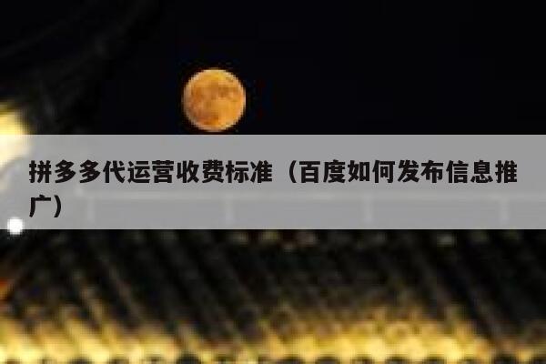 拼多多代运营收费标准(百度如何发布信息推广) 第1张 拼多多代运营收费标准(百度如何发布信息推广) 第1张