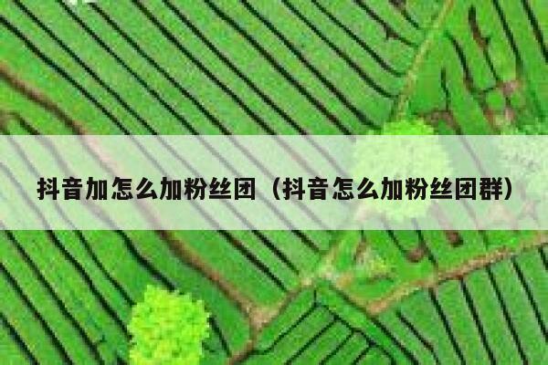 抖音加怎么加粉丝团（抖音怎么加粉丝团群） 第1张