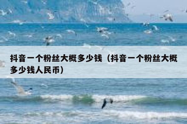 抖音一个粉丝大概多少钱(抖音一个粉丝大概多少钱人民币) 第1张 抖音一个粉丝大概多少钱(抖音一个粉丝大概多少钱人民币) 第1张