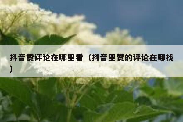 抖音赞评论在哪里看（抖音里赞的评论在哪找） 第1张